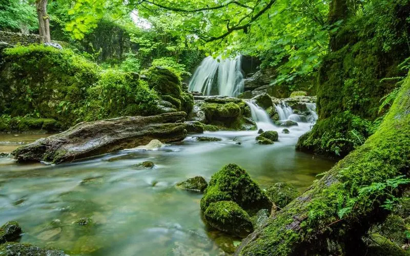 创新可靠性